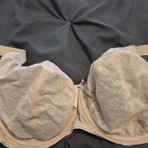 Elegant Lace Underwire Bra in Cream